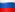 Russia Flag Icon