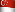 Singapore Flag Icon