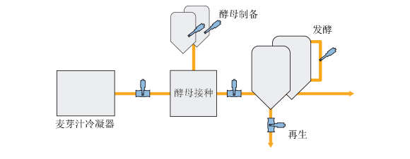 海洋红酵母扩培方法图片