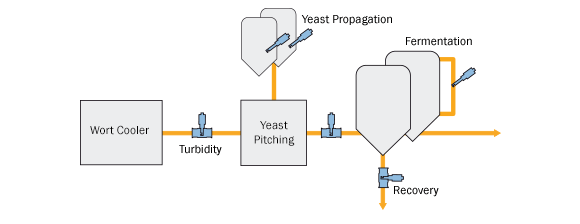 Brewing Yeast Management